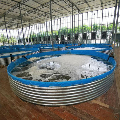Outdoor Indoor Flexible Water Tank Recirculating Aquaculture System Tilapia Fish Farming Tank