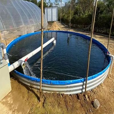 Outdoor Indoor Flexible Water Tank Recirculating Aquaculture System Tilapia Fish Farming Tank